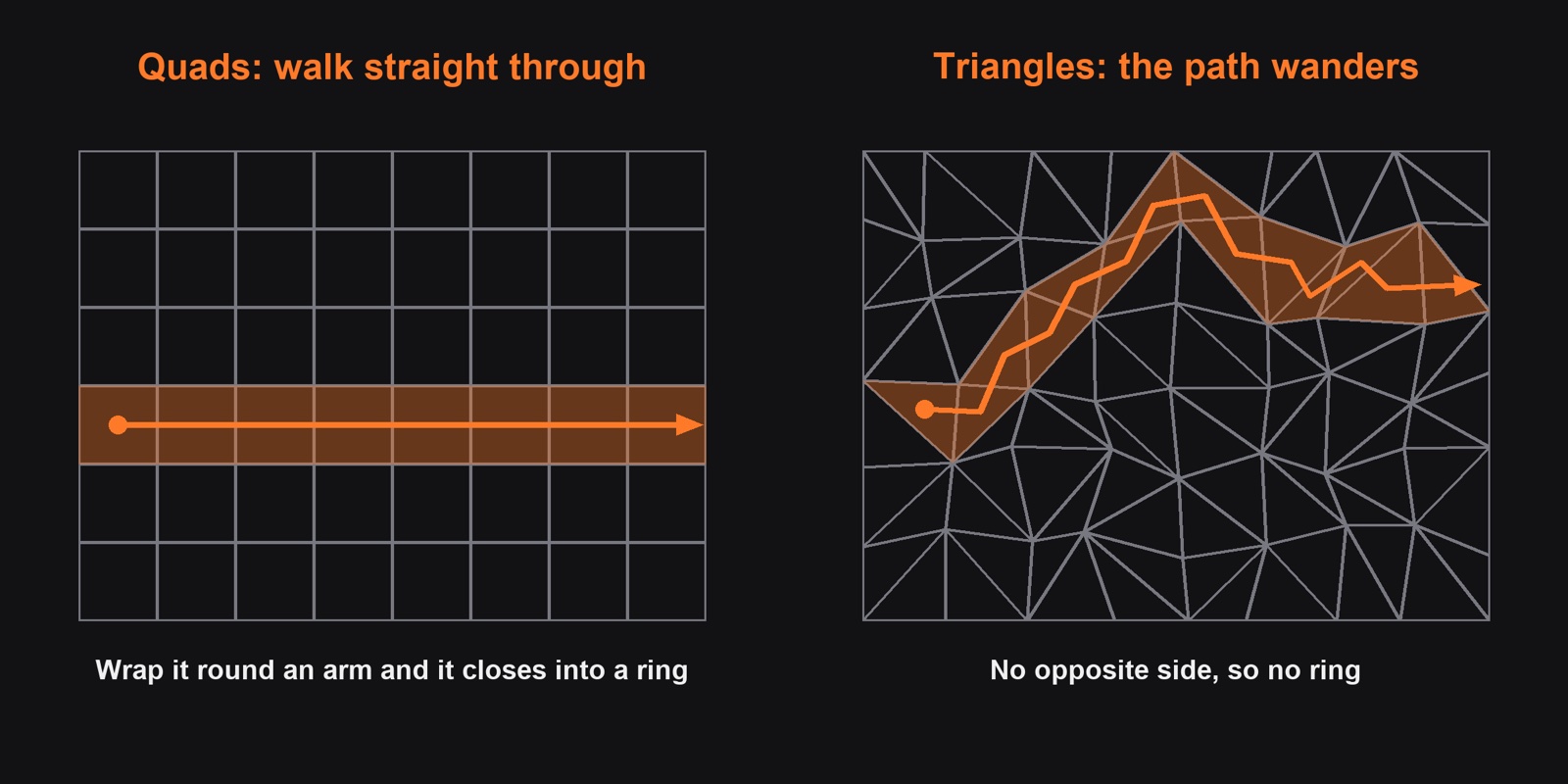 A path through quads goes straight; through triangles it wanders